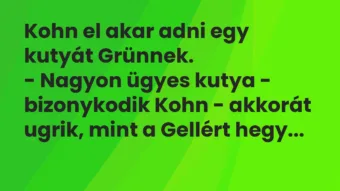 Vicc: Kohn el akar adni egy kutyát Grünnek.

– Nagyon ügyes kutya -…