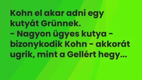 Vicc: Kohn el akar adni egy kutyát Grünnek.
– Nagyon ügyes kutya -… Vicc: Kohn el akar adni egy kutyát Grünnek.
– Nagyon ügyes kutya -…