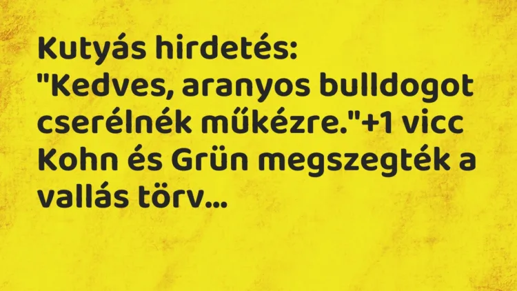 Vicc: Kutyás hirdetés:
„Kedves, aranyos bulldogot cserélnék műkézre.” Vicc: Kutyás hirdetés:
„Kedves, aranyos bulldogot cserélnék műkézre.”