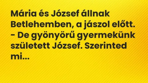 Vicc: Mária és József állnak Betlehemben, a jászol előtt.

– De gyönyörű…