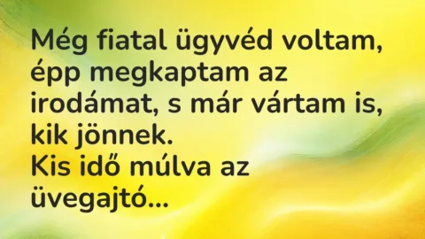 Vicc: Még fiatal ügyvéd voltam, épp megkaptam az irodámat, s már vártam is,… Vicc: Még fiatal ügyvéd voltam, épp megkaptam az irodámat, s már vártam is,…