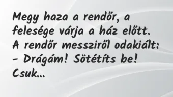 Vicc: Megy haza a rendőr, a felesége várja a ház előtt. A rendőr messziről…