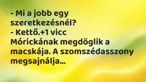 Vicc: – Mi a jobb egy szeretkezésnél?

– Kettő.