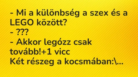 Vicc: – Mi a különbség a szex és a LEGO között?

– ???

– Akkor…