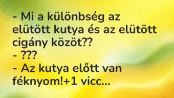 Vicc: – Mi a különbség az elütött kutya és az elütött cigány közöt??

-…