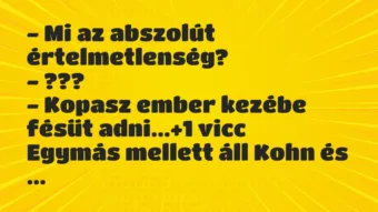 Vicc: – Mi az abszolút értelmetlenség?

– ???

– Kopasz ember kezébe…