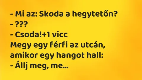 Vicc: – Mi az: Skoda a hegytetőn?
– ???
– Csoda! Vicc: – Mi az: Skoda a hegytetőn?
– ???
– Csoda!