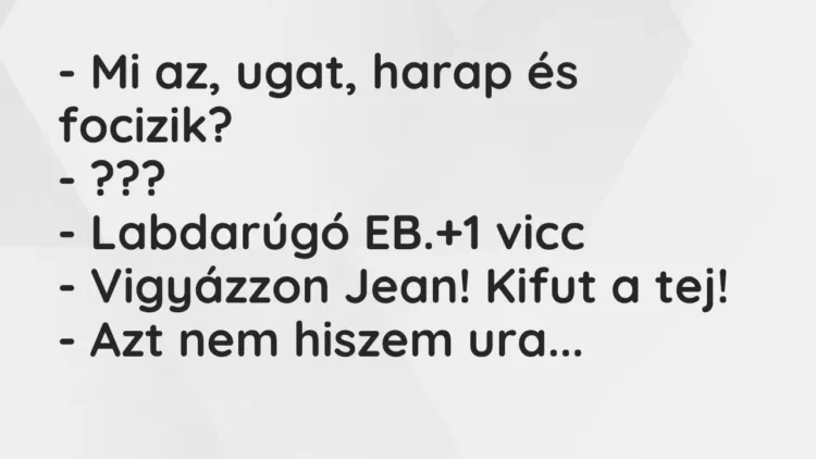 Vicc: – Mi az, ugat, harap és focizik?
– ???
– Labdarúgó EB. Vicc: – Mi az, ugat, harap és focizik?
– ???
– Labdarúgó EB.