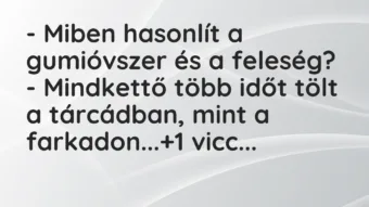 Vicc: – Miben hasonlít a gumióvszer és a feleség?

– Mindkettő több időt…