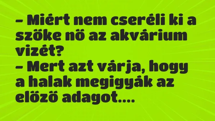 Vicc: – Miért nem cseréli ki a szőke nő az akvárium vizét?
– Mert azt… Vicc: – Miért nem cseréli ki a szőke nő az akvárium vizét?
– Mert azt…