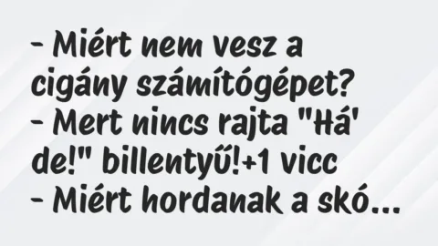Vicc: – Miért nem vesz a cigány számítógépet?

– Mert nincs rajta „Há’…