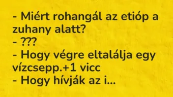 Vicc: – Miért rohangál az etióp a zuhany alatt?
– ???
– Hogy végre… Vicc: – Miért rohangál az etióp a zuhany alatt?
– ???
– Hogy végre…