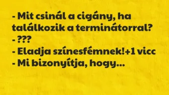 Vicc: – Mit csinál a cigány, ha találkozik a terminátorral?

-…
