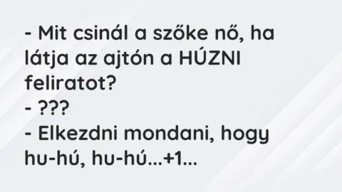 Vicc: – Mit csinál a szőke nő, ha látja az ajtón a HÚZNI feliratot?

-…