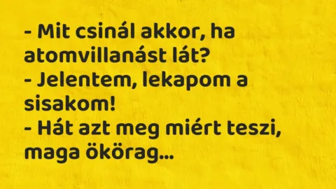 Vicc: – Mit csinál akkor, ha atomvillanást lát?

– Jelentem, lekapom a…