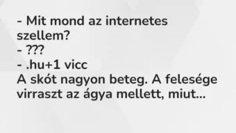 Vicc: – Mit mond az internetes szellem?

– ???

– .hu
