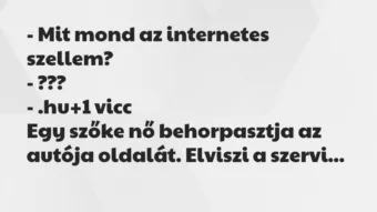 Vicc: – Mit mond az internetes szellem?

– ???

– .hu
