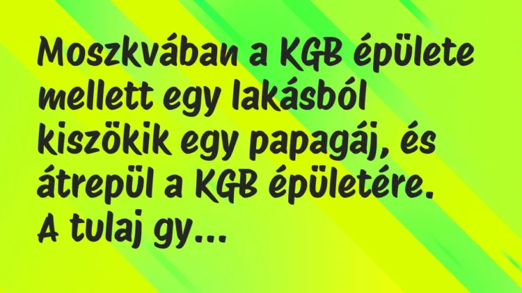 Vicc: Moszkvában a KGB épülete mellett egy lakásból kiszökik egy papagáj, és… Vicc: Moszkvában a KGB épülete mellett egy lakásból kiszökik egy papagáj, és…