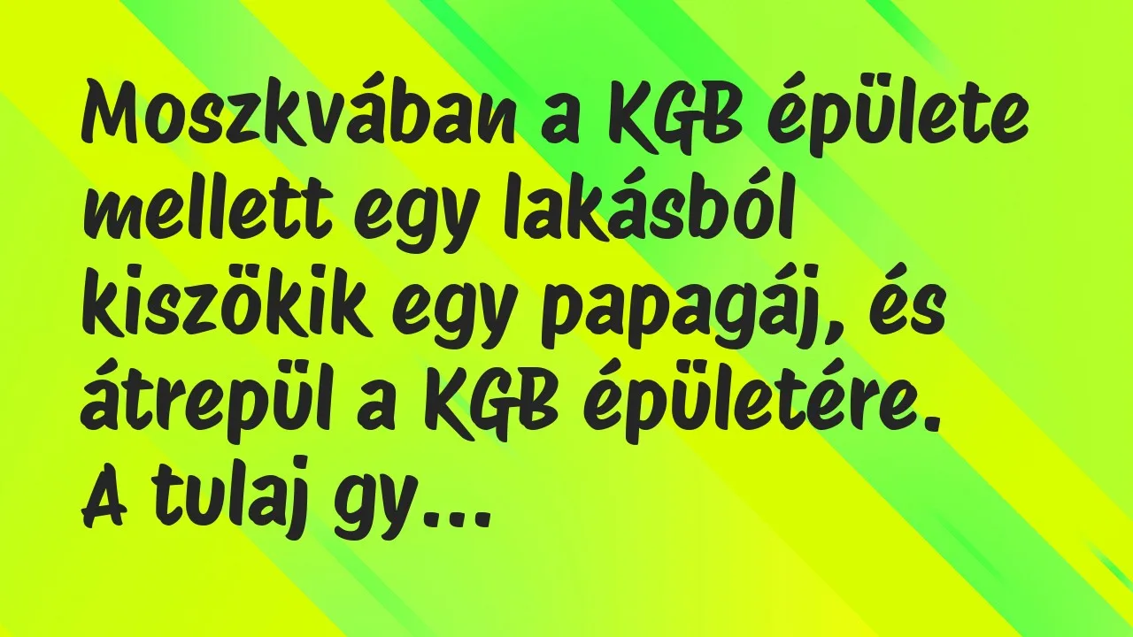 Vicc: Moszkvában a KGB épülete mellett egy lakásból kiszökik egy papagáj, és…