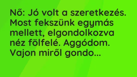 Vicc: Nő: Jó volt a szeretkezés. Most fekszünk egymás mellett, elgondolkozva… Vicc: Nő: Jó volt a szeretkezés. Most fekszünk egymás mellett, elgondolkozva…