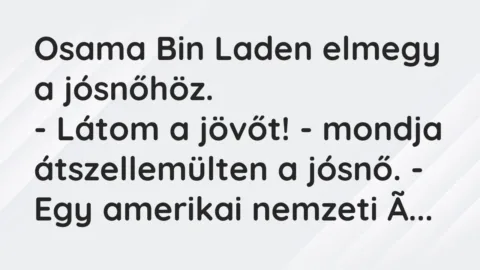 Vicc: Osama Bin Laden elmegy a jósnőhöz.

– Látom a jövőt! – mondja…