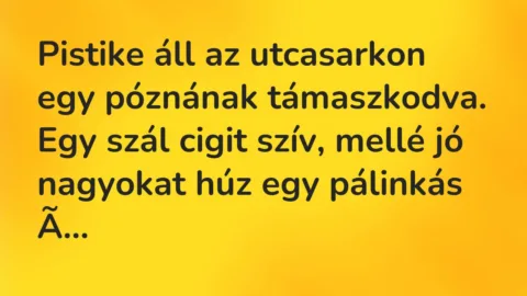 Vicc: Pistike áll az utcasarkon egy póznának támaszkodva. Egy szál cigit…