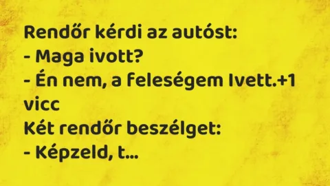 Vicc: Rendőr kérdi az autóst:

– Maga ivott?

– Én nem, a feleségem…