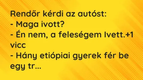 Vicc: Rendőr kérdi az autóst:

– Maga ivott?

– Én nem, a feleségem…