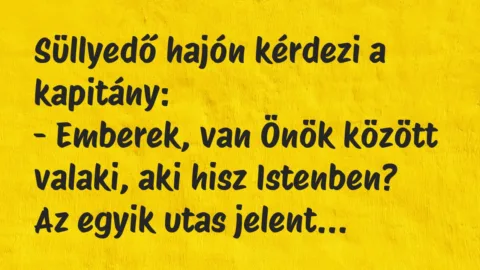 Vicc: Süllyedő hajón kérdezi a kapitány:
– Emberek, van Önök között… Vicc: Süllyedő hajón kérdezi a kapitány:
– Emberek, van Önök között…