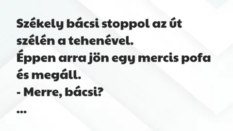 Vicc: Székely bácsi stoppol az út szélén a tehenével.

Éppen arra jön…