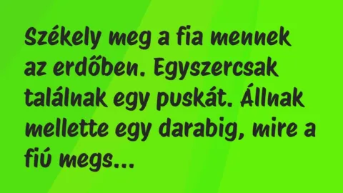 Vicc: Székely meg a fia mennek az erdőben. Egyszercsak találnak egy puskát….