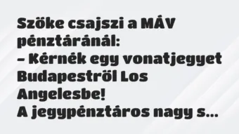 Vicc: Szőke csajszi a MÁV pénztáránál:

– Kérnék egy vonatjegyet…