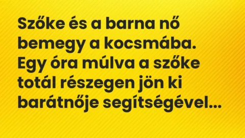 Vicc: Szőke és a barna nő bemegy a kocsmába. Egy óra múlva a szőke totál…