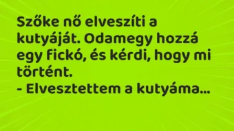 Vicc: Szőke nő elveszíti a kutyáját. Odamegy hozzá egy fickó, és kérdi, hogy…