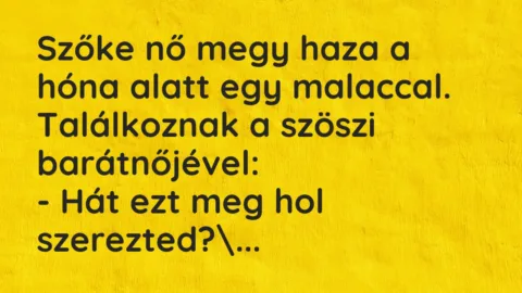Vicc: Szőke nő megy haza a hóna alatt egy malaccal. Találkoznak a szöszi…