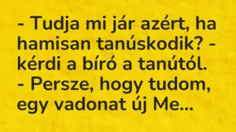 Vicc: – Tudja mi jár azért, ha hamisan tanúskodik? – kérdi a bíró a…