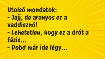 Vicc: Utolsó mondatok:

– Jajj, de aranyos ez a vaddisznó!

-…