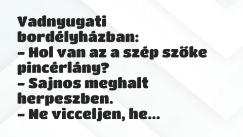 Vicc: Vadnyugati bordélyházban:

– Hol van az a szép szőke…