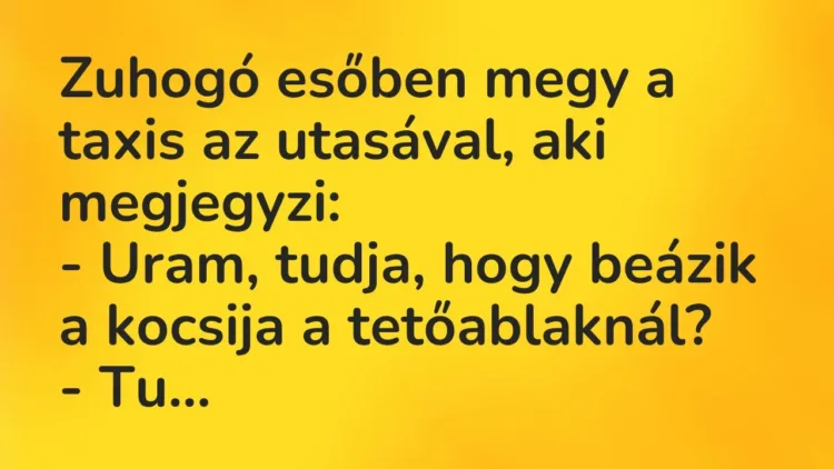 Vicc: Zuhogó esőben megy a taxis az utasával, aki megjegyzi:
– Uram,… Vicc: Zuhogó esőben megy a taxis az utasával, aki megjegyzi:
– Uram,…
