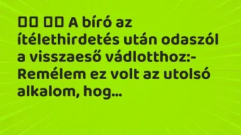 Viccek: 
		  
		  A bíró az ítélethirdetés után odaszól a visszaeső…