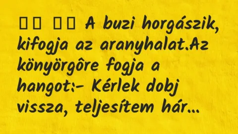 Viccek:
A buzi horgászik, kifogja az aranyhalat.Az… Viccek:
A buzi horgászik, kifogja az aranyhalat.Az…