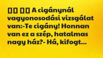 Viccek: 
		  
		  A cigánynál vagyonosodási vizsgálat…