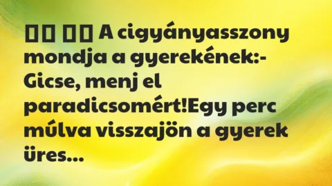 Viccek: 
		  
		  A cigyányasszony mondja a gyerekének:- Gicse,…