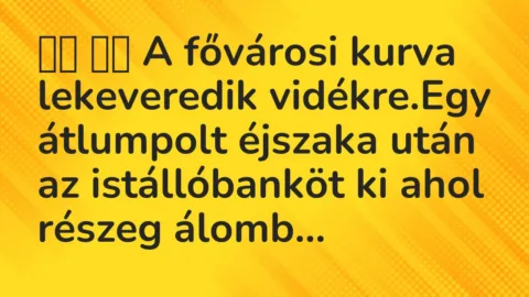 Viccek: 
		  
		  A fővárosi kurva lekeveredik vidékre.Egy…
