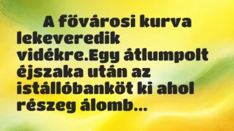 Viccek: 
		  
		  A fővárosi kurva lekeveredik vidékre.Egy…