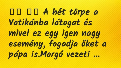 Viccek:
A hét törpe a Vatikánba látogat és mivel ez egy… Viccek:
A hét törpe a Vatikánba látogat és mivel ez egy…