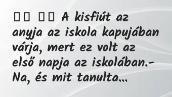 Viccek: 
		  
		  A kisfiút az anyja az iskola kapujában várja,…