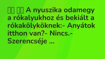 Viccek: 
		  
		  A nyuszika odamegy a rókalyukhoz és bekiált a…
