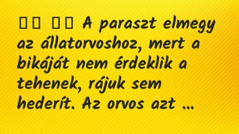 Viccek:
A paraszt elmegy az állatorvoshoz, mert a bikáját… Viccek:
A paraszt elmegy az állatorvoshoz, mert a bikáját…