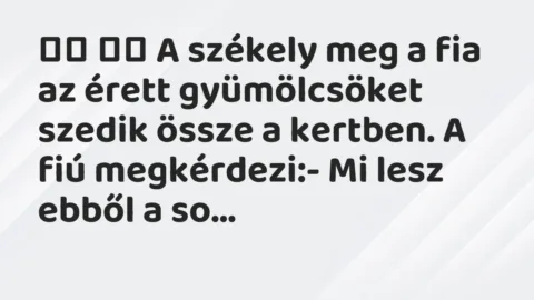 Viccek: 
		  
		  A székely meg a fia az érett gyümölcsöket szedik …